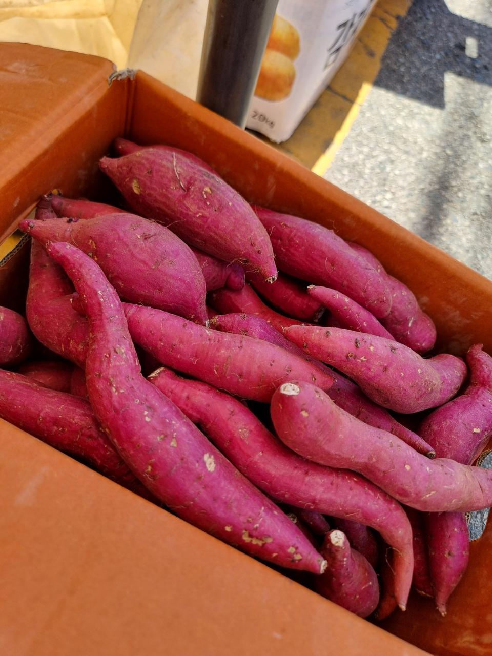 해남밤고구마못나이10키로25000원택포함