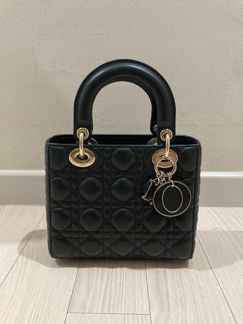 디올 레이디백 스몰 