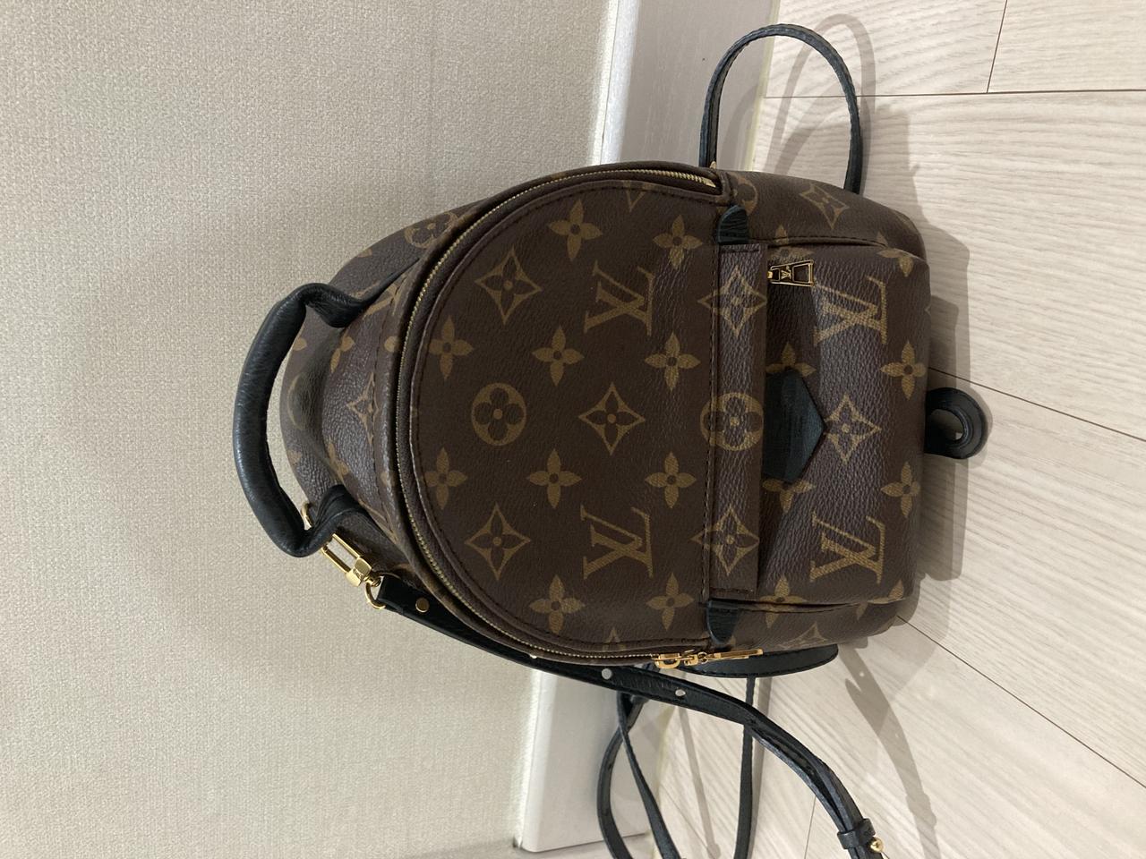 루이비통 팜스프링스 미니 백팩 