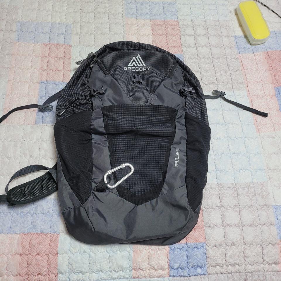 그레고리 백펙 20(미사용)