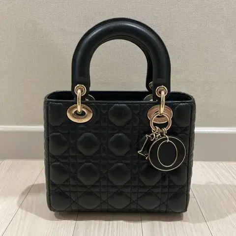 디올 레이디백 스몰