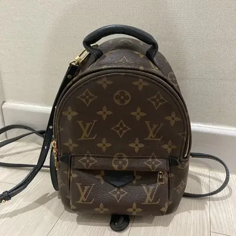 루이비통 팜스프링스 미니 백팩