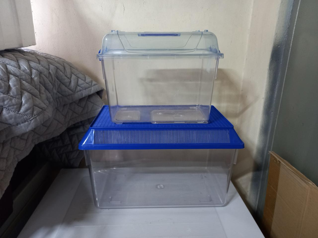 대형 곤충채집통