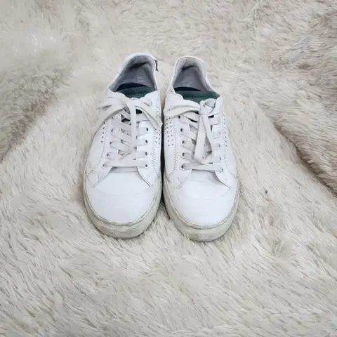 [TIME] 타임 여성 스니커즈 235