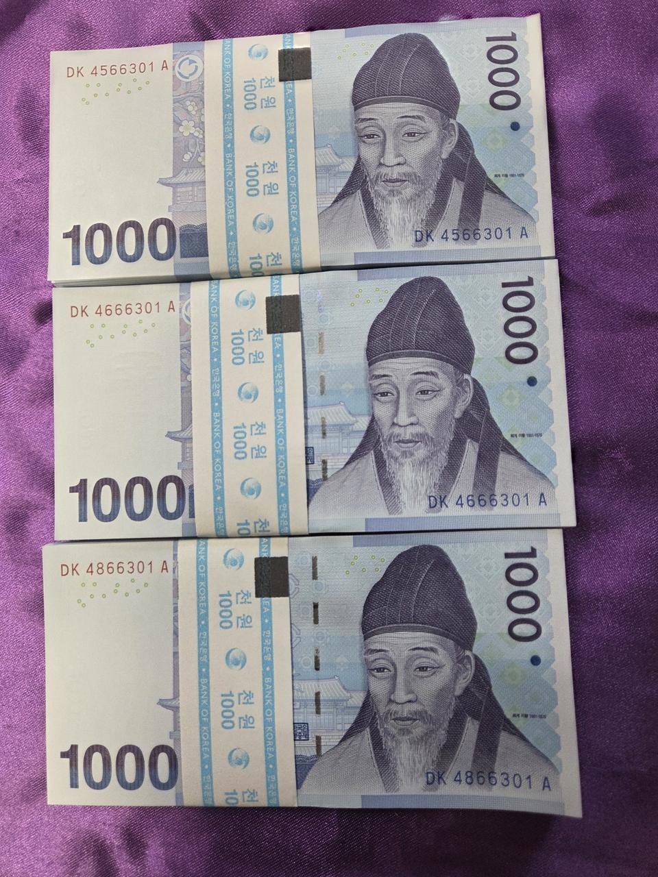 3형제쌍동이 천원다발