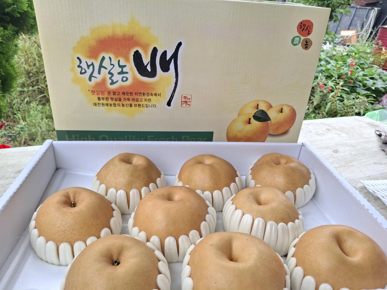 추석 선물용 햇 배7.5kg 무료배송