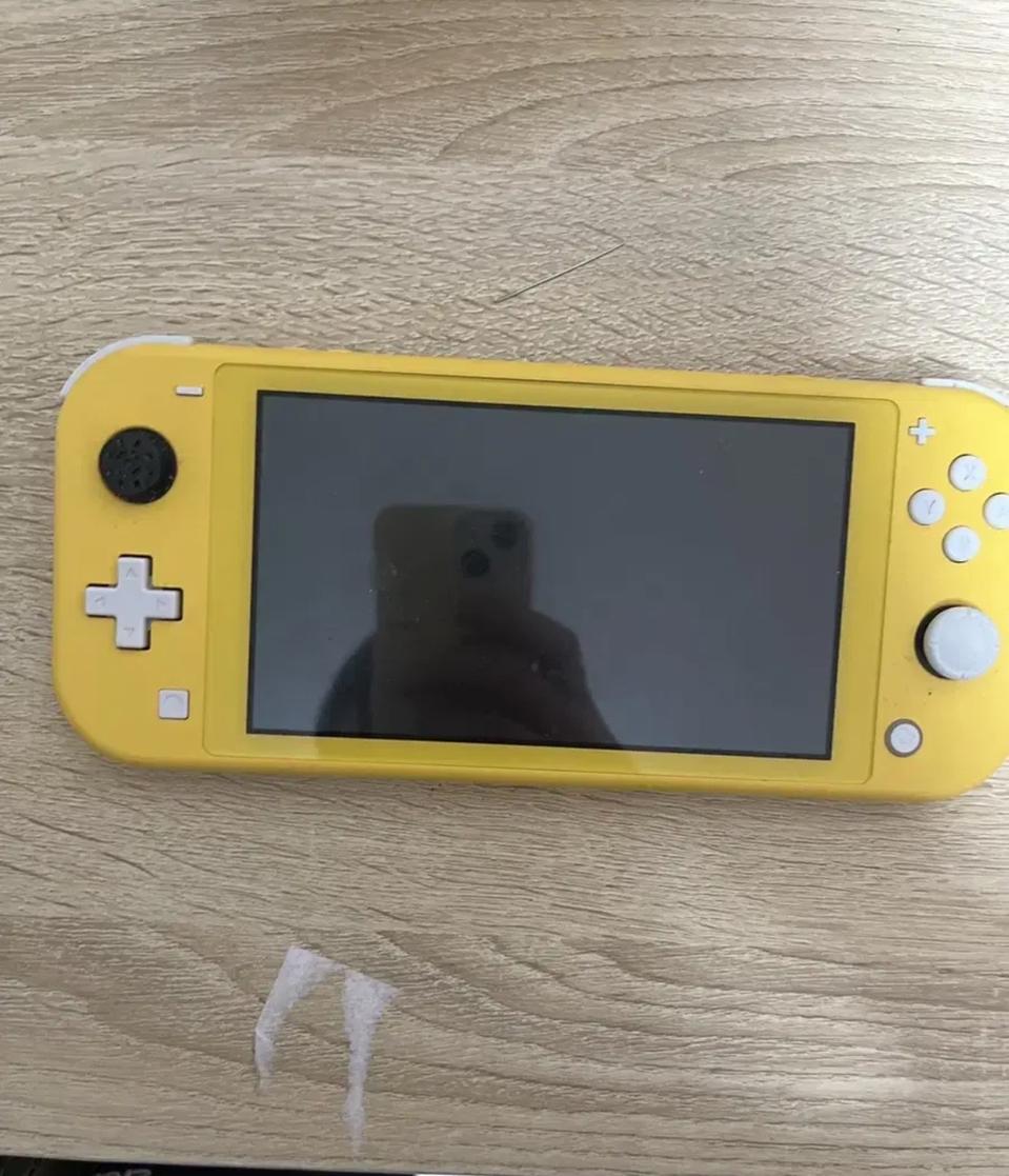 닌텐도스위치 라이트