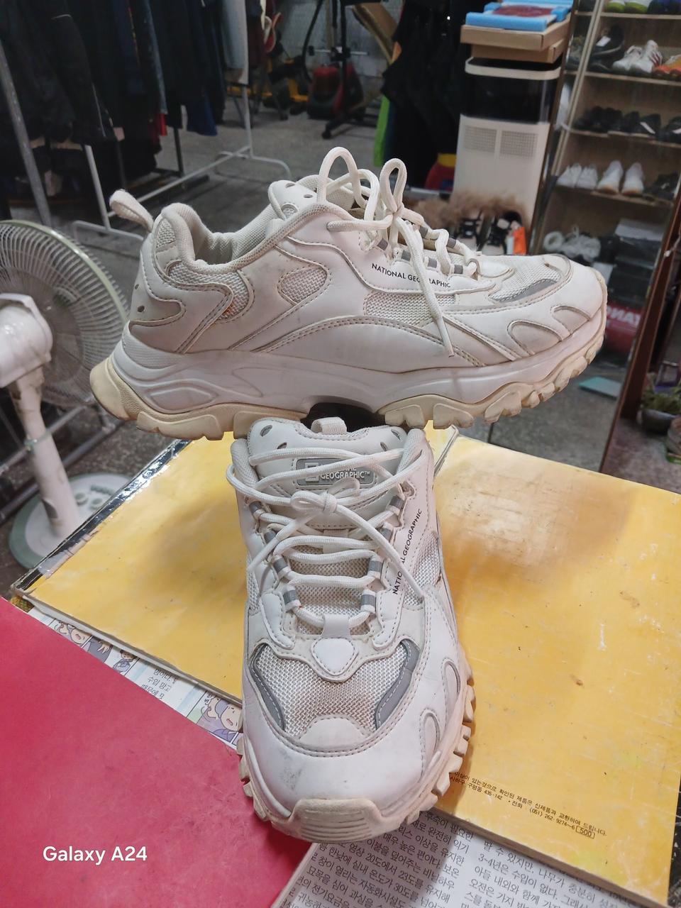 250 내셔널지오그래픽 트리핀 라이노 스니커즈 (4142)