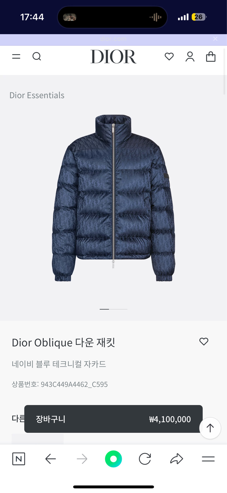 디올 오블리크 패딩