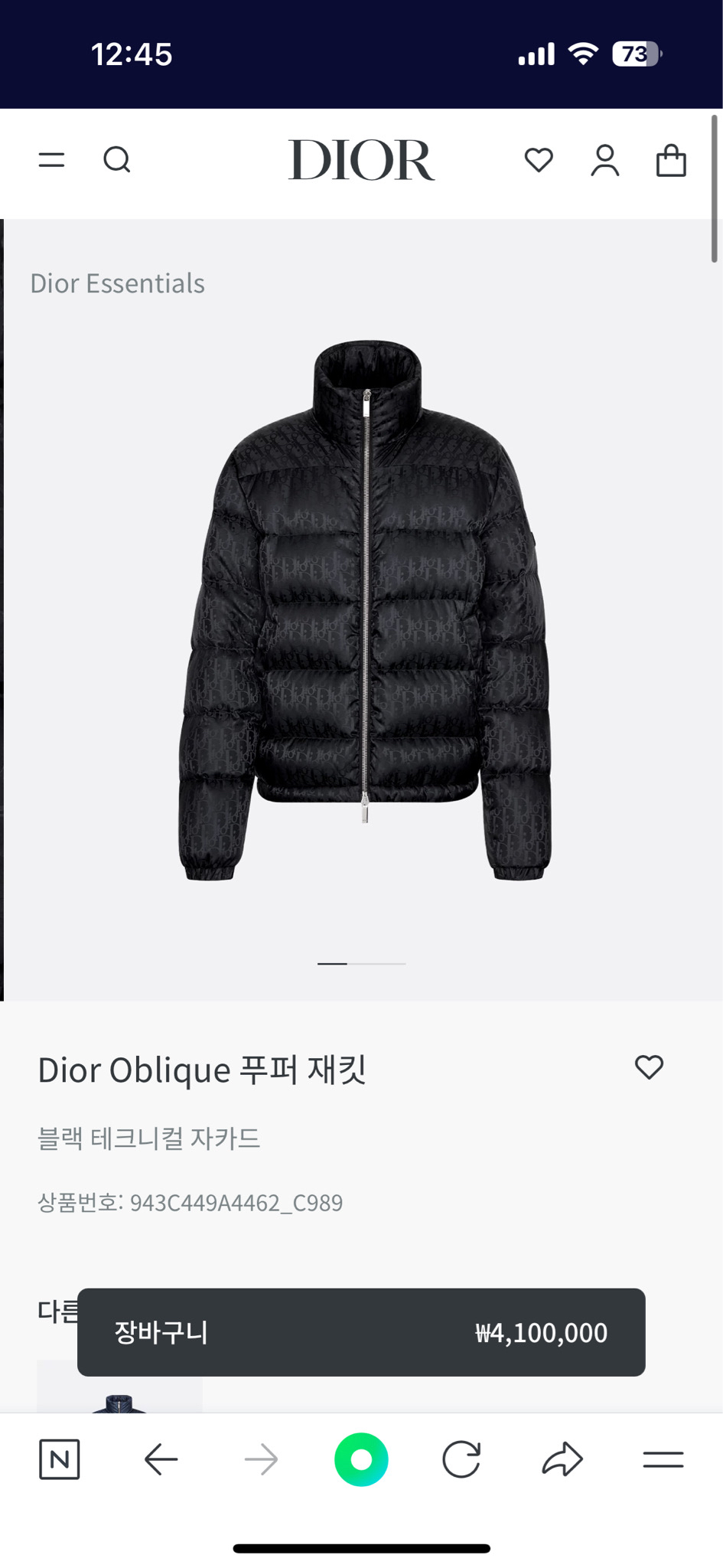 디올 오블리크 패딩