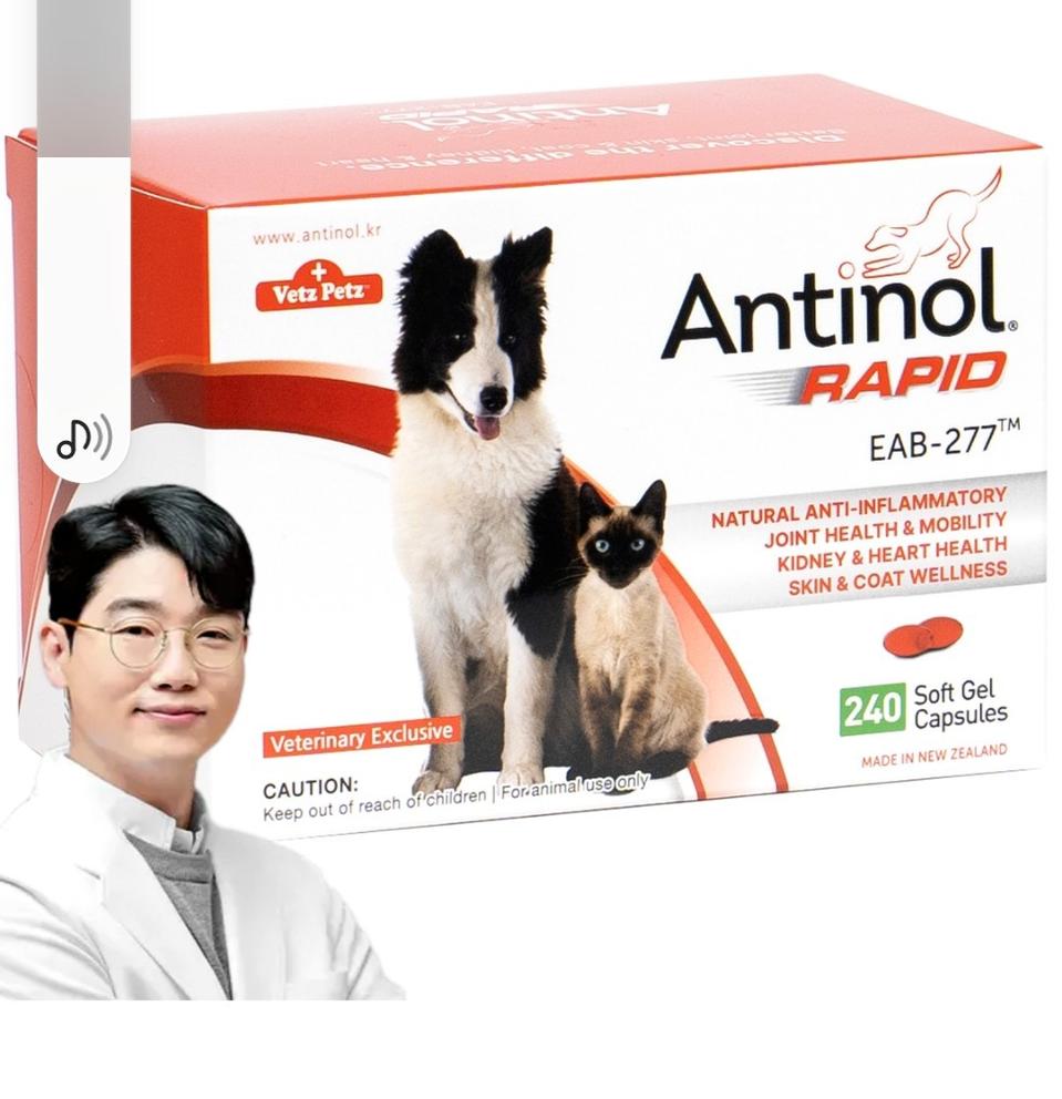 안티놀 래피드 240정 1박스 뼈관절강화 강아지영양제