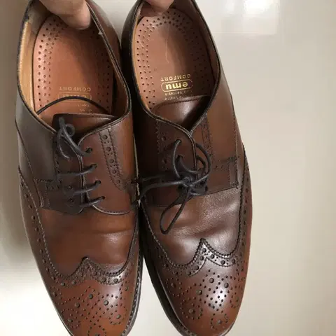 6 emu 컴포트 브라운 남성 브로그 윙팁 구두260