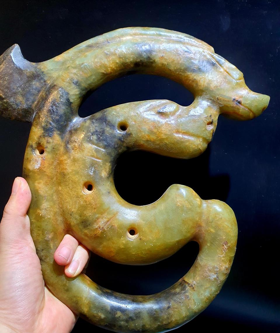 홍산옥저룡 C룡 대형