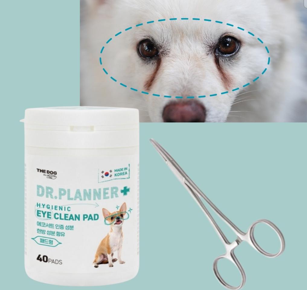 강아지 눈물지우개