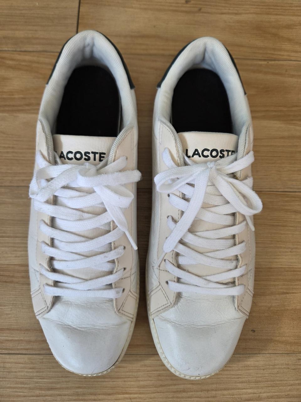 라코스테 운동화 (280)