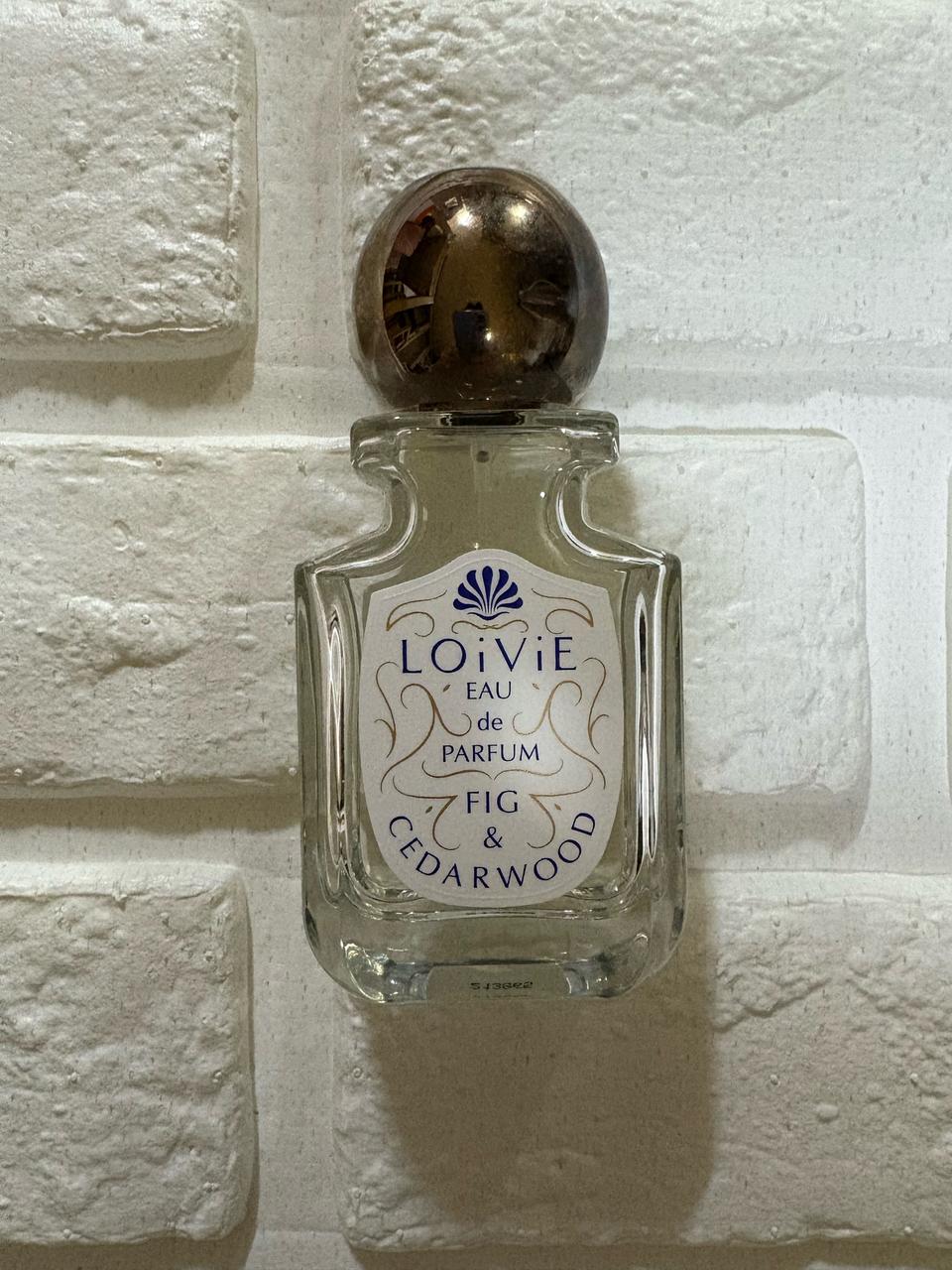 로이비 휘그앤시더우드 오드퍼품 공용