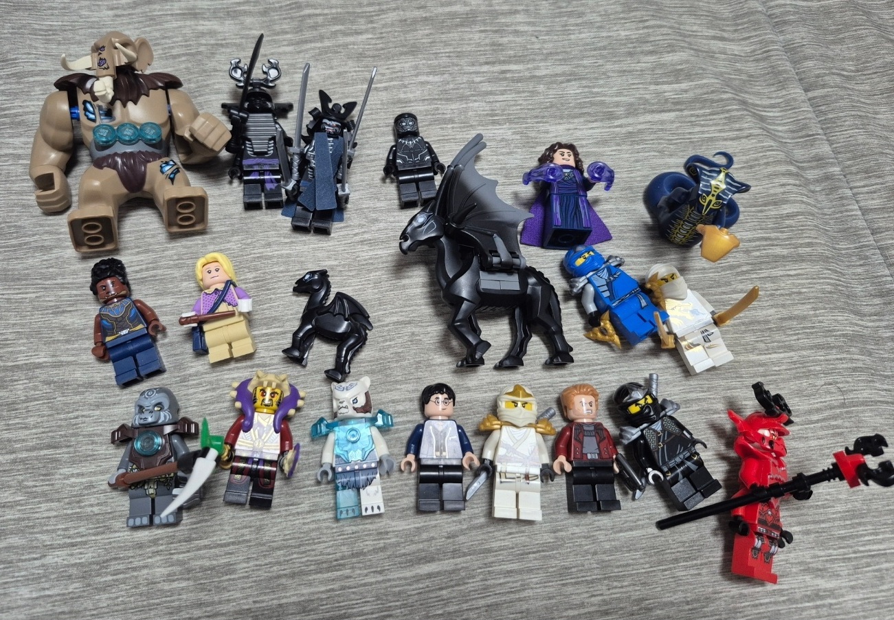 희귀 레고피규어