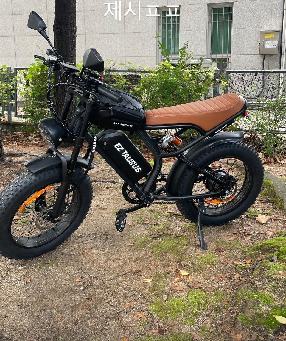 Bs 슬릭 전기자전거(자토바이)