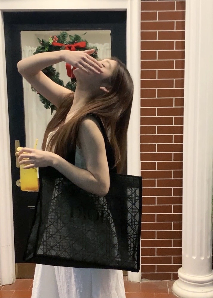 디올 메쉬에코백 2025