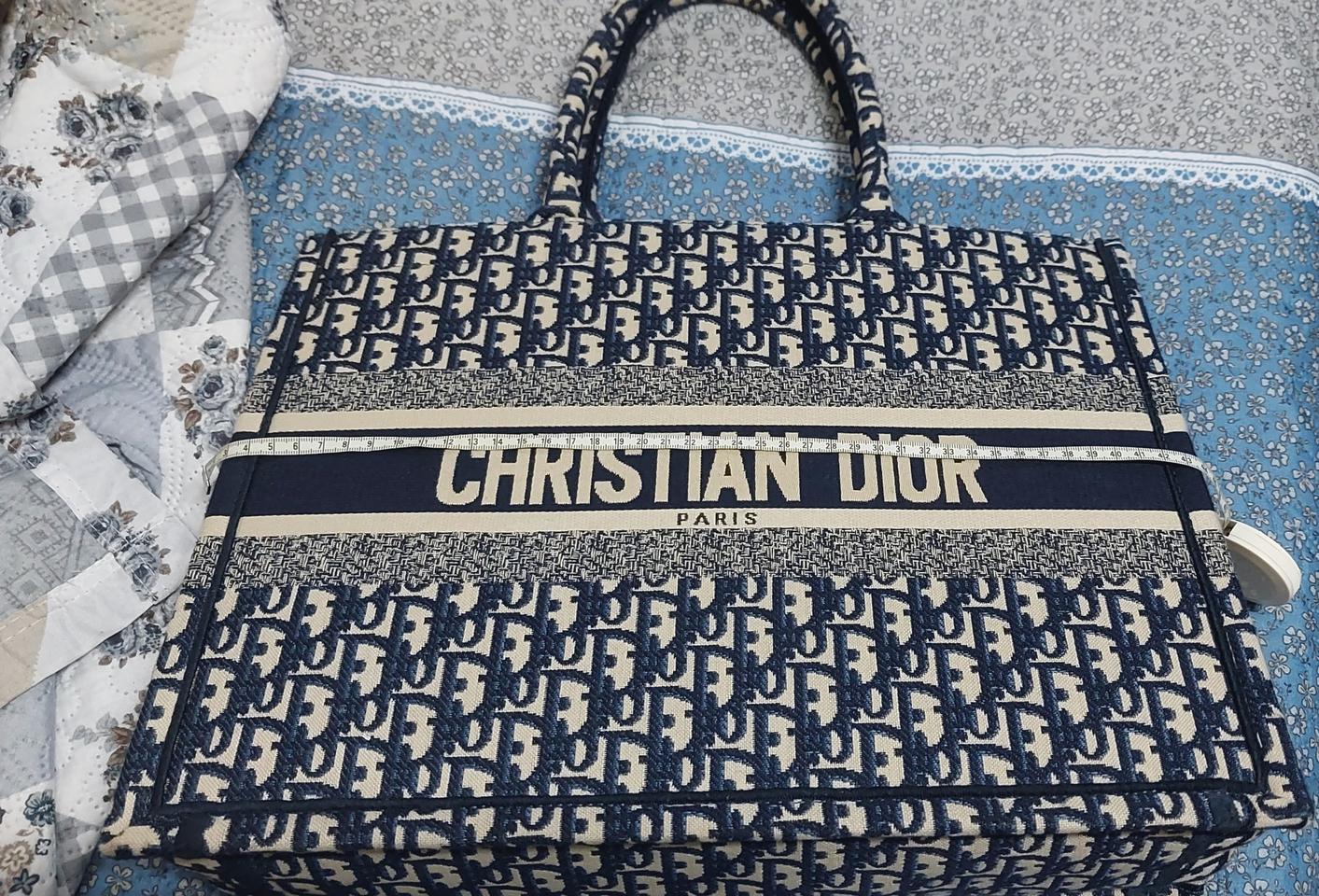 디올 오블리크북 토드백