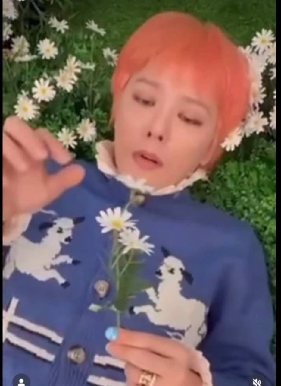 Ss daley 지드래곤 가디건