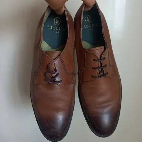 에스콰이아 갈색 남성 구두 265