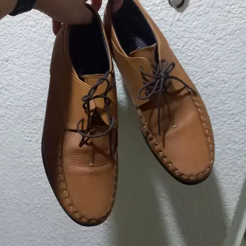 255 미쉘 탠디 구두 로퍼