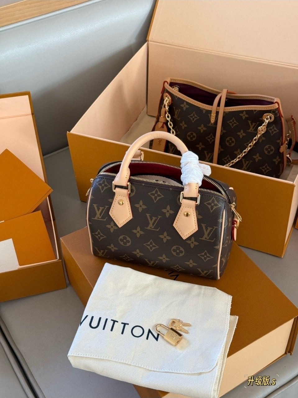 루이비통 스피디 반둘리에 20 모노그램