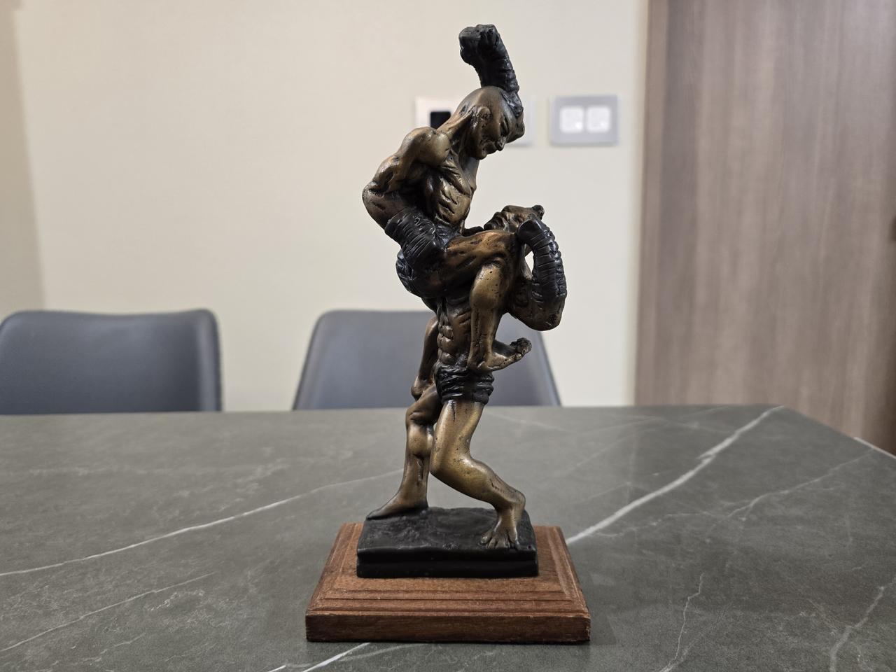 이종격투기 MMA 브론즈