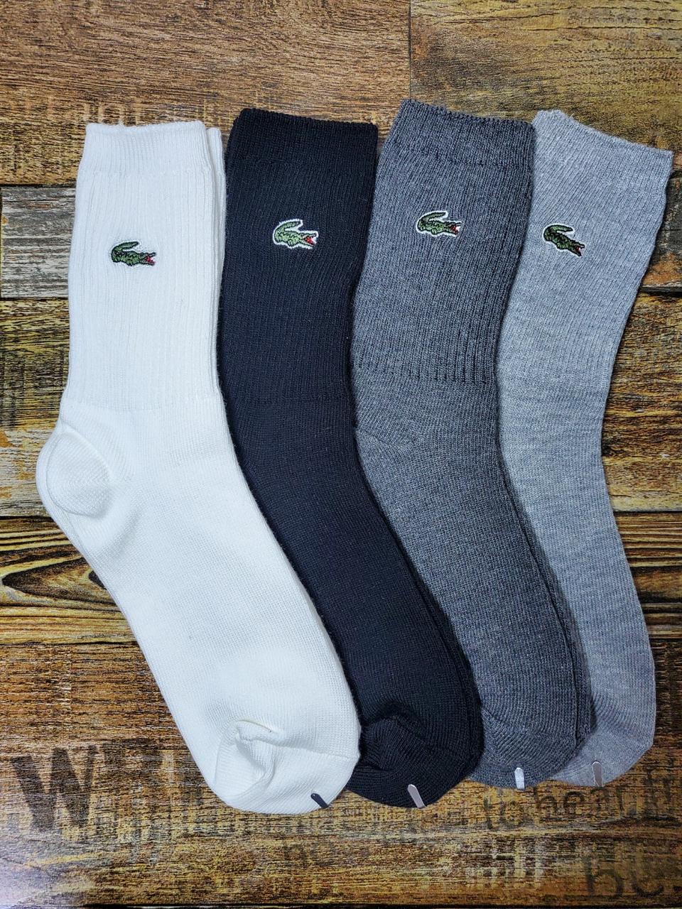 라코스테 자수 골지중목 양말 (여성용)