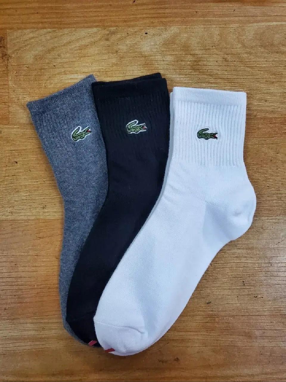 라코스테 골지중목 양말 여성용