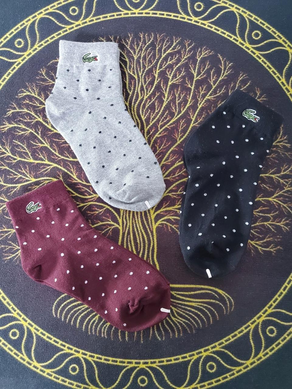 라코스테 자수단목 땡땡이(여성용)