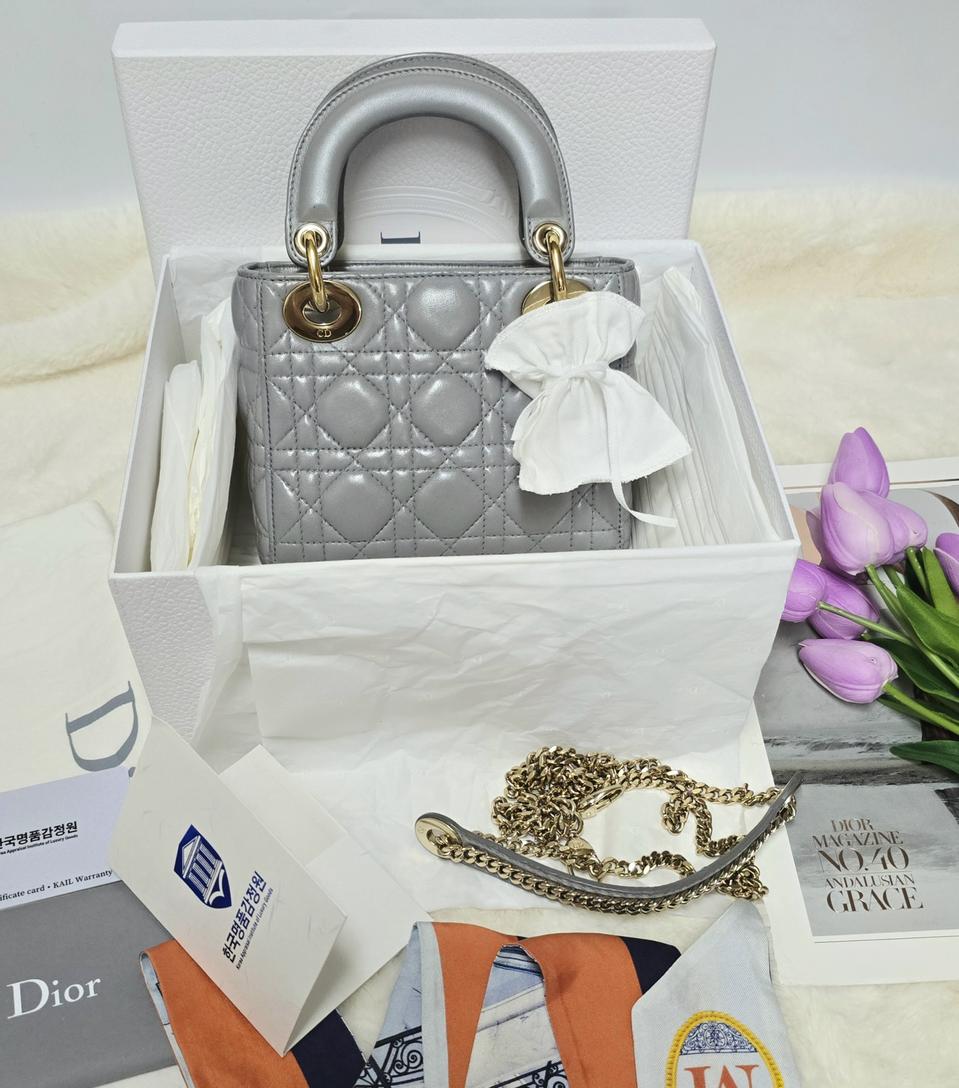 디올 레이디백 스몰