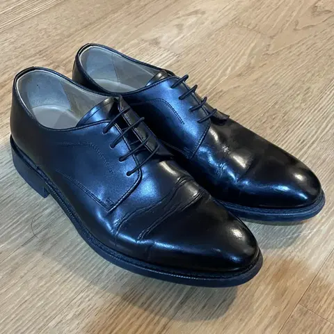 TANDY 탠디 정장 구두 255