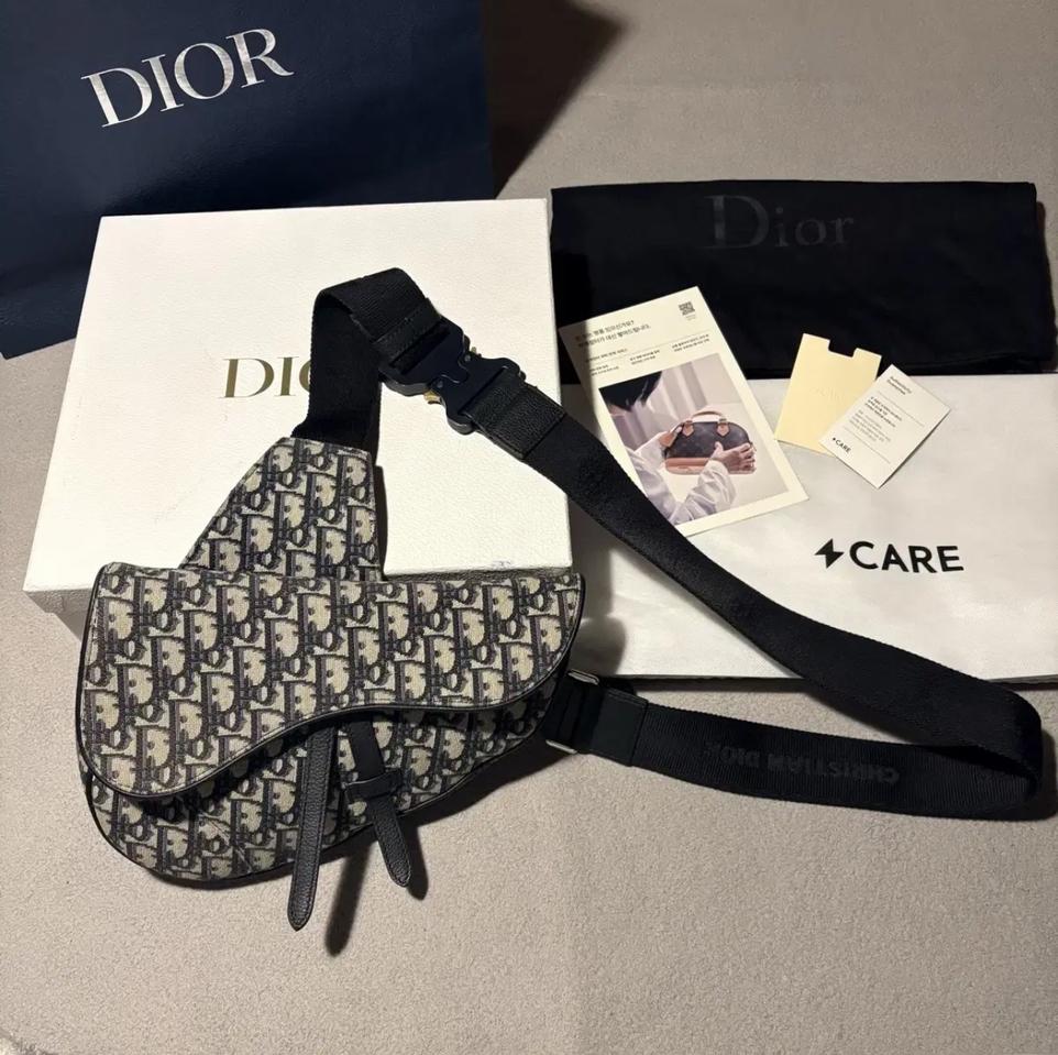 디올 오블리크 새들백