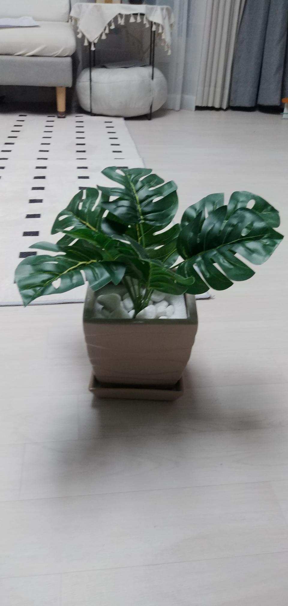 몬스테라 조화화분