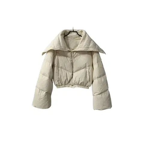 카라변형 덕다운 숏패딩