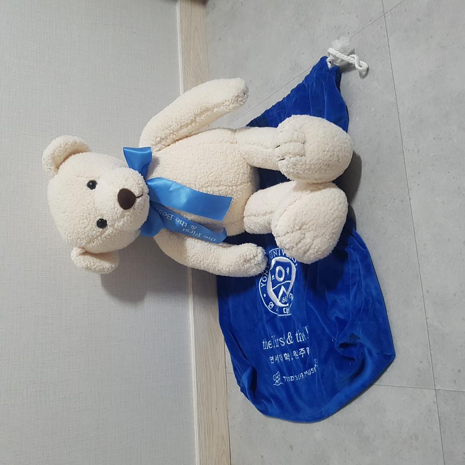 인형 테디베어 곰돌이 53cm 초대형, 보슬 재질 귀여운 곰인형