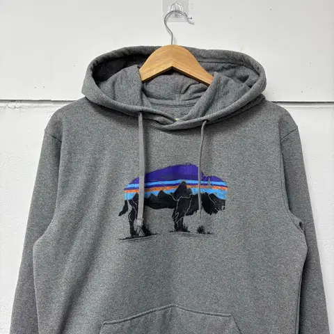 파타고니아 그레이 후드티