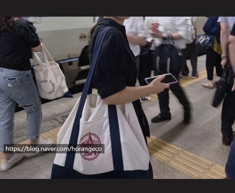 트레이더 조 에코백 (미국)