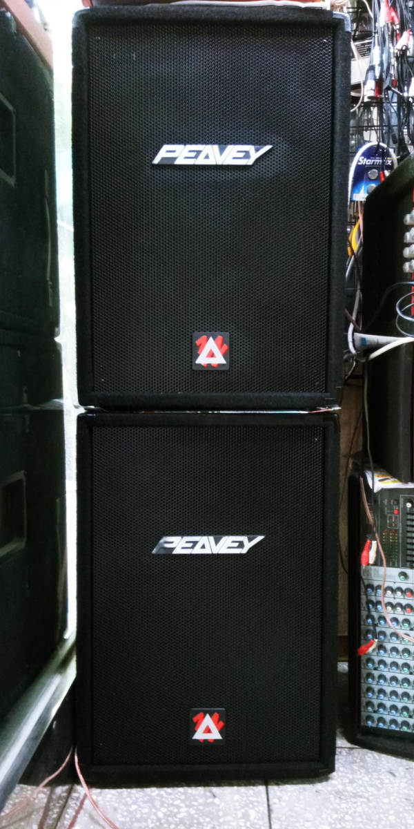 PEAVEY 스피커..15인치 1조...미국....