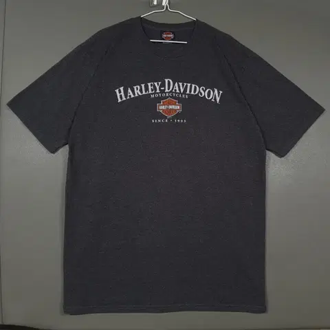 XL (105) 할리데이비슨 00s USA 라일리 그래픽 빅로고 반팔티