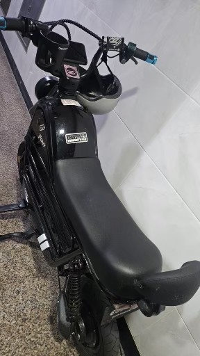 AU테크 에코로 PONY 여성 애견 반려견 전기 전동스쿠터