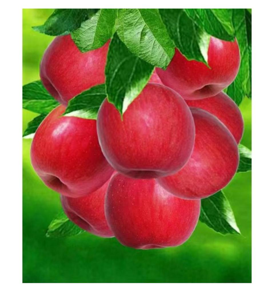 홍과 보석십자수 주문제작해드려요