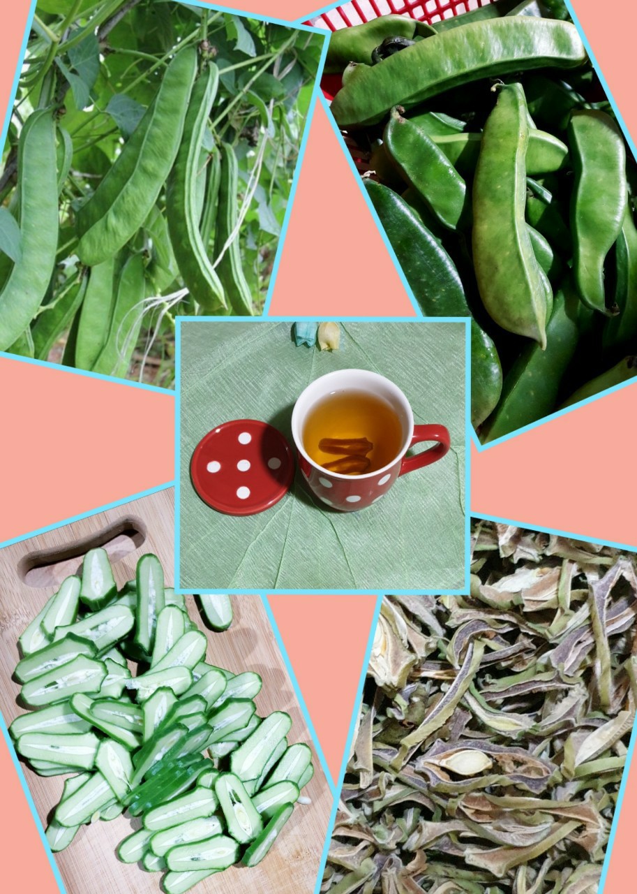 ⛔ 덖은 작두콩차 / 레드비트차/ 컬러무우차