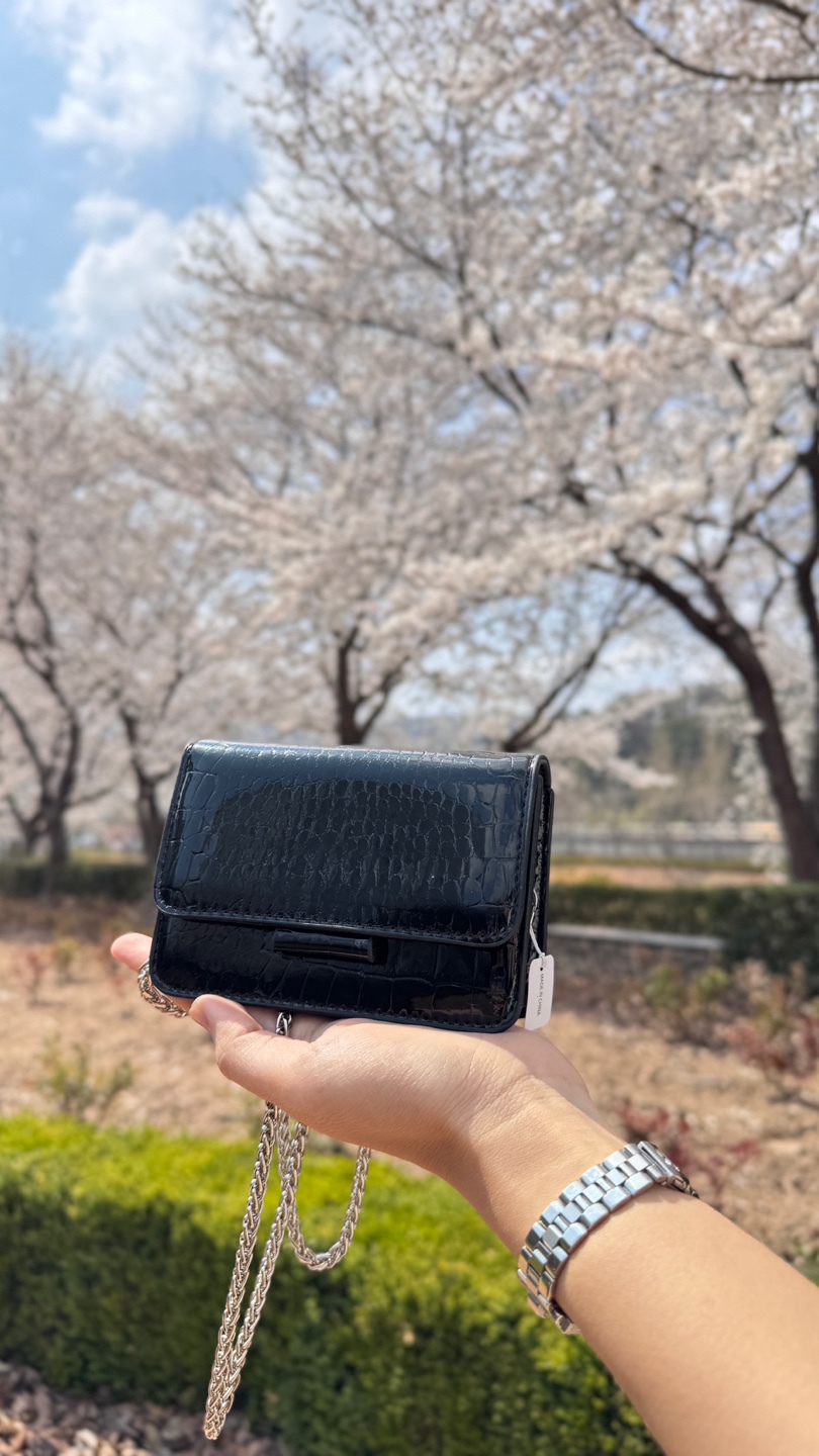 미니 크로커다일