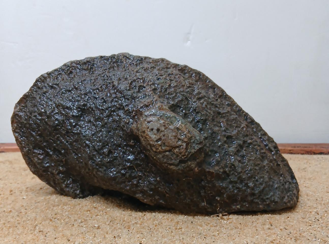 수석 자연수석 괴산 스타치석