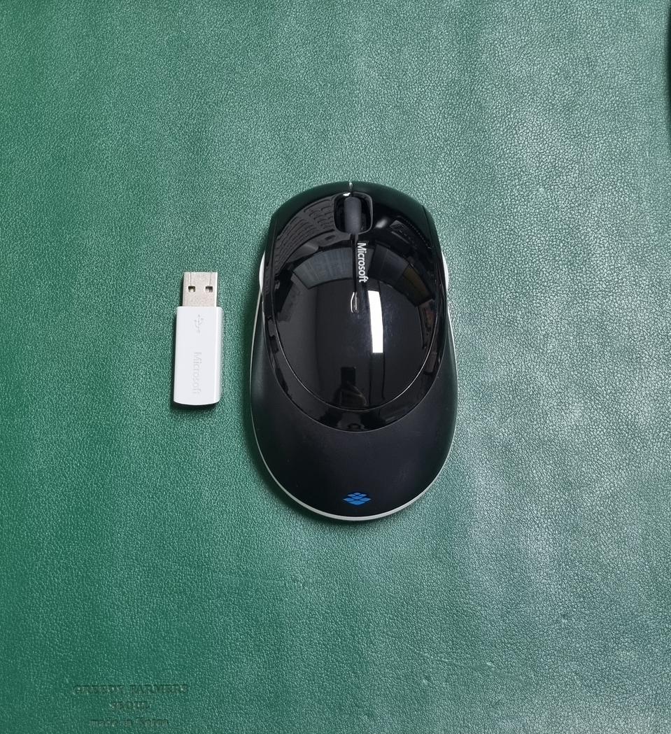 마이크로소프트 월래스 5000 무선 마우스 팜