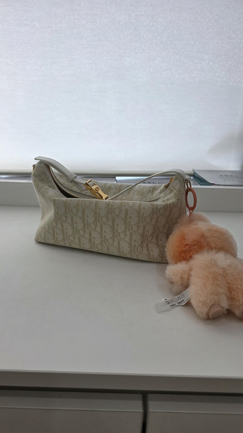 디올 노마드 파우치백