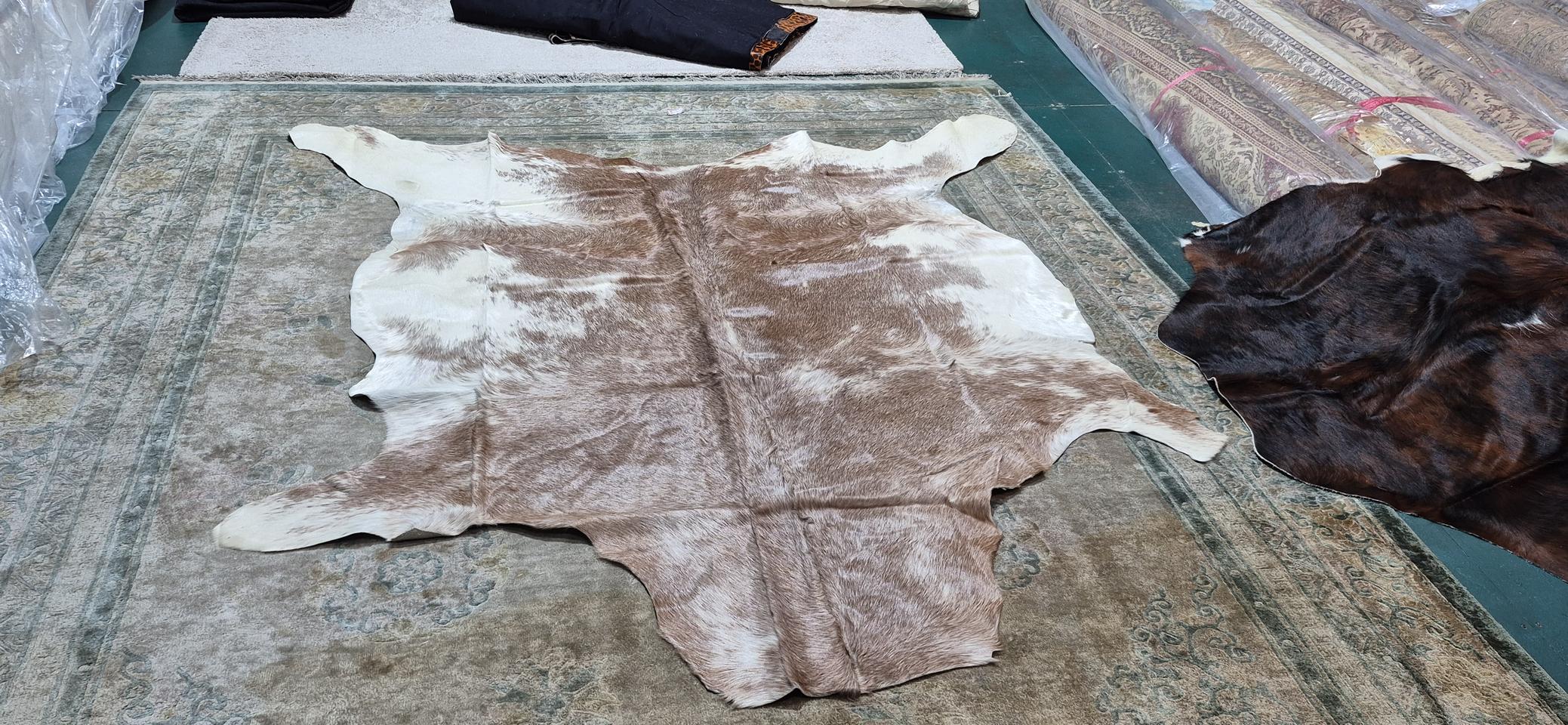 콜롬비아 대형 송치 카페트 - CO112 - 1900mm/2150mm